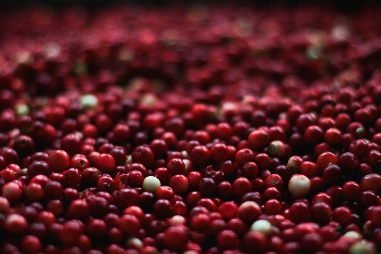 Vaccinium Macrocarpon (Cranberry) Seed Oil in Skincare